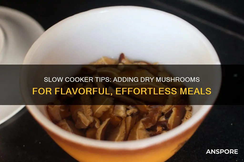 can you add dry mushrooms to slow cooker