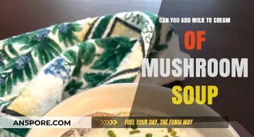 Adding Milk to Cream of Mushroom Soup: Tips and Tricks