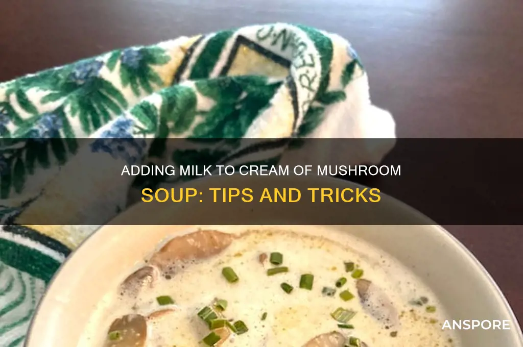 can you add milk to cream of mushroom soup