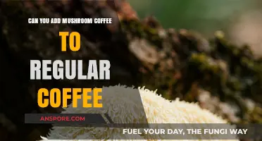 Mushroom Coffee Boost: Can You Mix It with Regular Coffee?