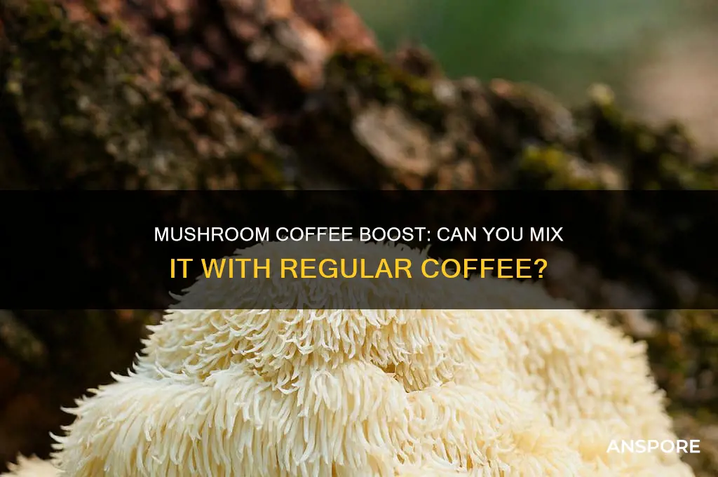 can you add mushroom coffee to regular coffee