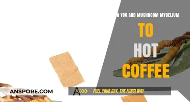 Mushroom Mycelium in Hot Coffee: Benefits, Risks, and How-To Guide