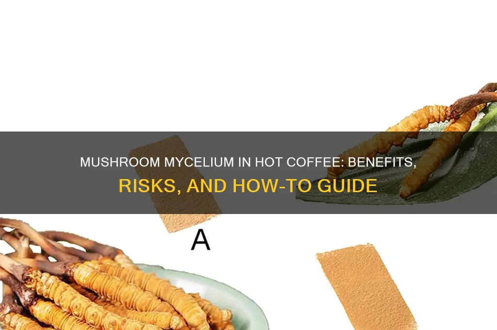 can you add mushroom mycelium to hot coffee