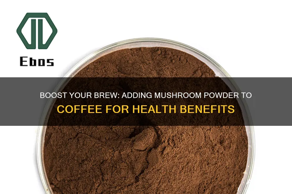 can you add mushroom powder to coffee
