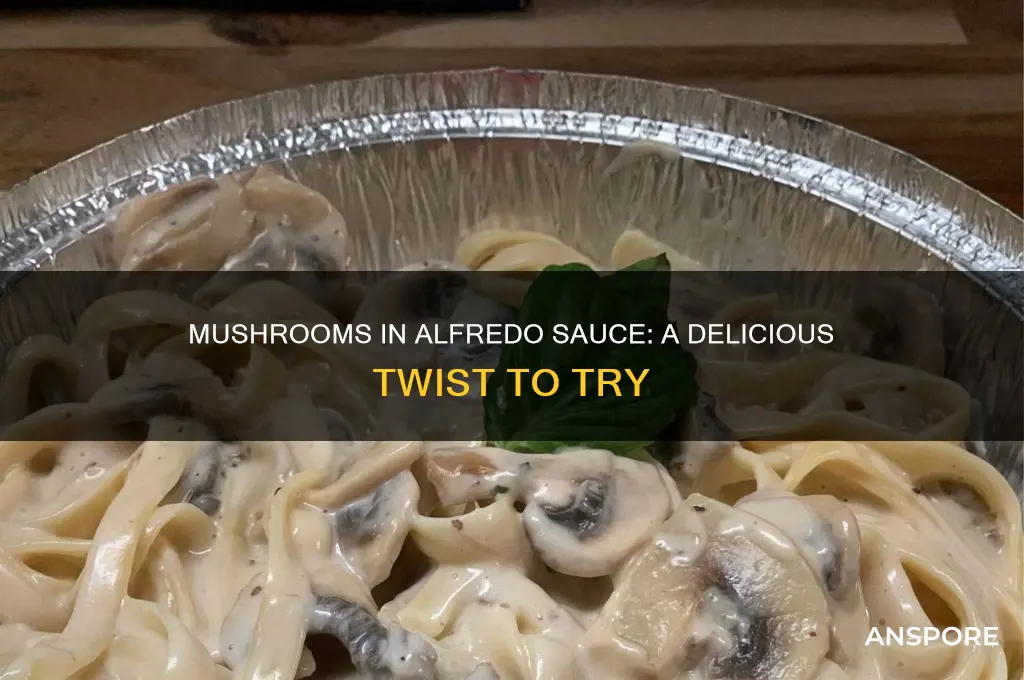 can you add mushrooms to alfredo sauce