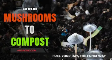 Mushrooms in Compost: Benefits, Risks, and How-To Guide