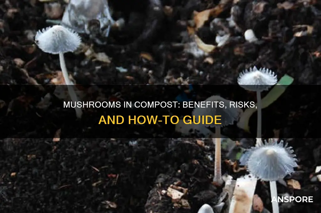 can you add mushrooms to compost