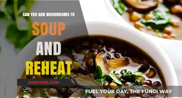 Reheating Mushroom Soup: Tips for Flavor and Safety