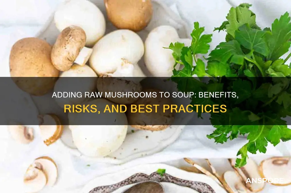 can you add raw mushrooms to soup