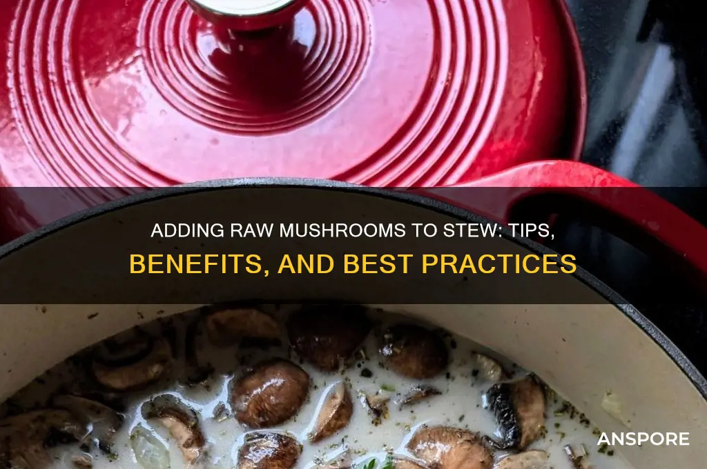 can you add raw mushrooms to stew