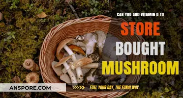 Boosting Mushroom Nutrition: Adding Vitamin D to Store-Bought Varieties