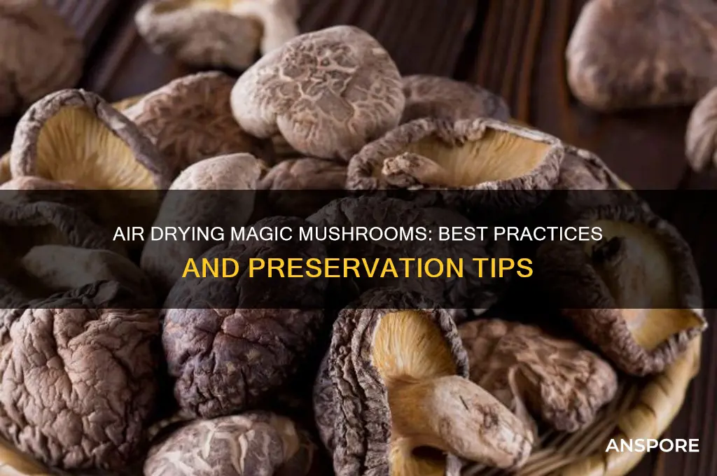 can you air dry magic mushrooms