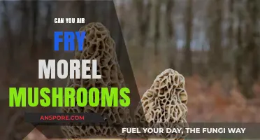 Air Fry Morel Mushrooms: Crispy, Earthy, and Delicious Recipe Guide