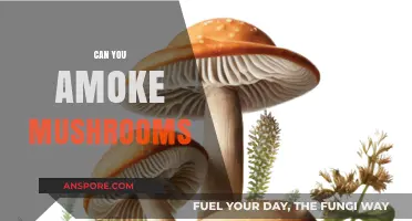 Can You Smoke Mushrooms? Exploring the Risks and Realities