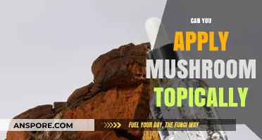 Topical Mushroom Benefits: Skin Care Uses and Application Tips