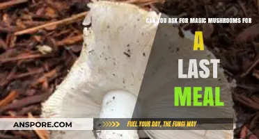 Magic Mushrooms as a Last Meal: Legal, Ethical, or Myth?