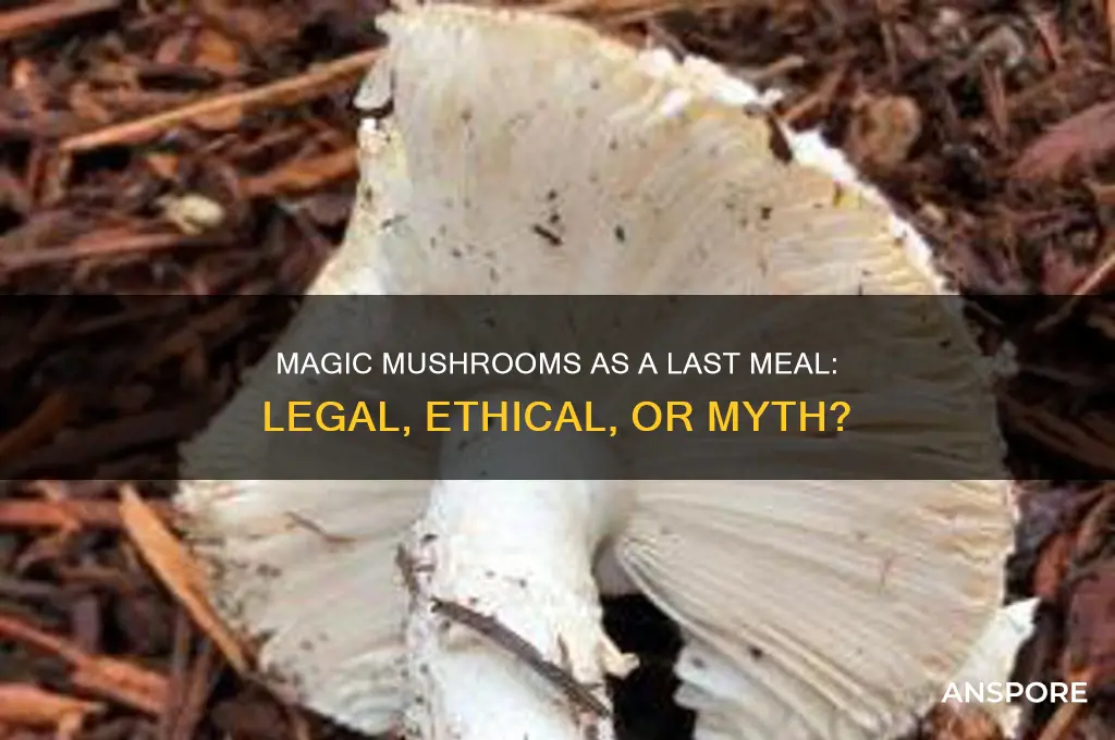 can you ask for magic mushrooms for a last meal