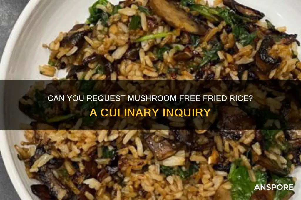 can you ask for no mushrooms fried rice