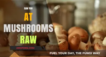 Can You Eat Mushrooms Raw? Benefits, Risks, and Best Practices