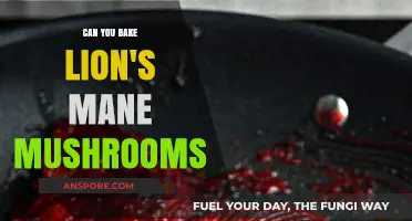 Baking Lion's Mane Mushrooms: Tips, Recipes, and Delicious Results