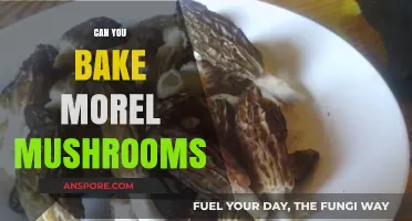 Baking Morel Mushrooms: Tips, Recipes, and Delicious Results