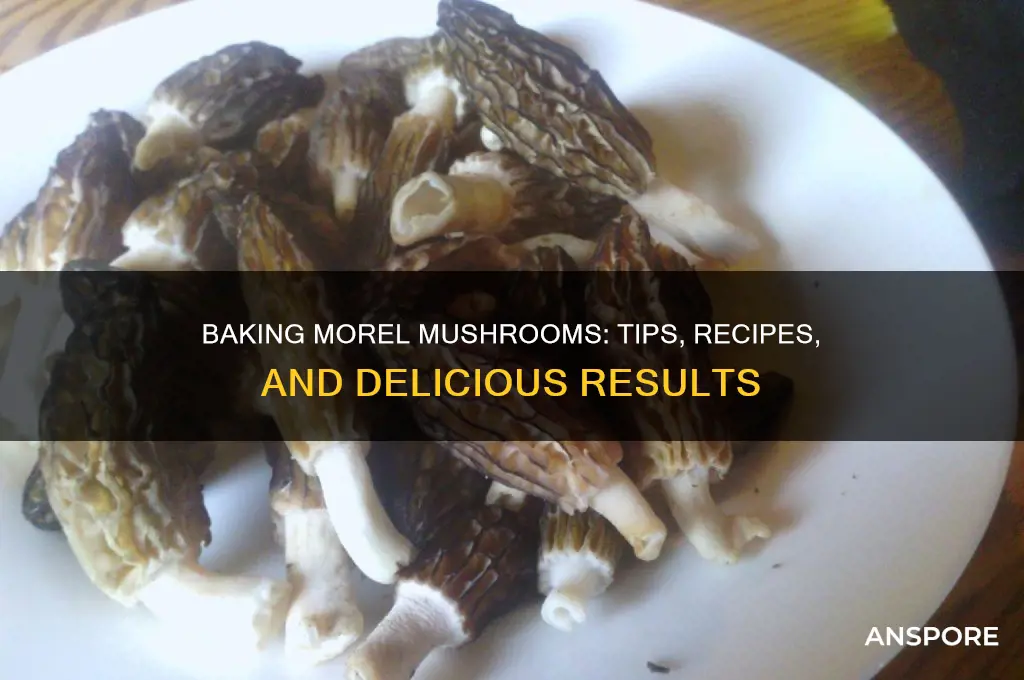can you bake morel mushrooms