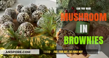 Baking with Mushrooms: Can You Add Them to Brownies?
