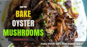 Baking Oyster Mushrooms: A Simple Guide to Perfect Results