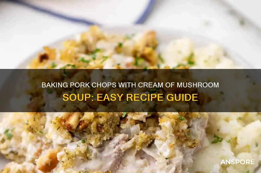 can you bake pork chops with cream of mushroom soup