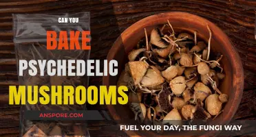 Baking Psychedelic Mushrooms: Risks, Legality, and Safety Concerns Explored