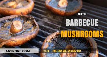 Mastering Mushroom BBQ: Tips for Grilling Perfect Fungi Every Time