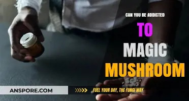 Magic Mushrooms Addiction: Myth or Reality? Exploring Psilocybin Dependence