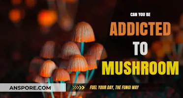 Exploring the Truth: Can You Develop a Mushroom Addiction?