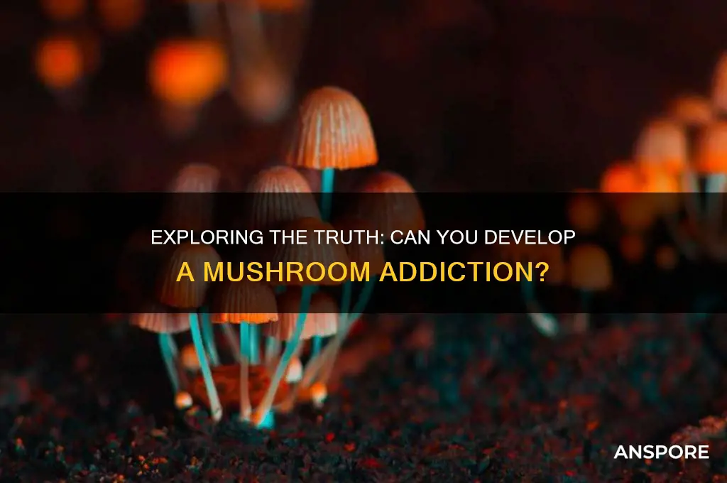 can you be addicted to mushroom