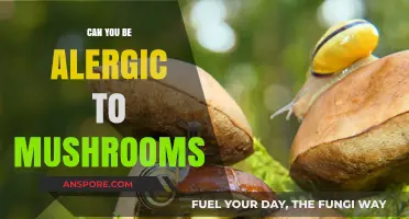 Can You Be Allergic to Mushrooms? Symptoms, Causes, and Risks