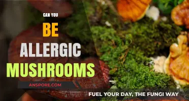 Can You Be Allergic to Mushrooms? Symptoms, Causes, and Prevention