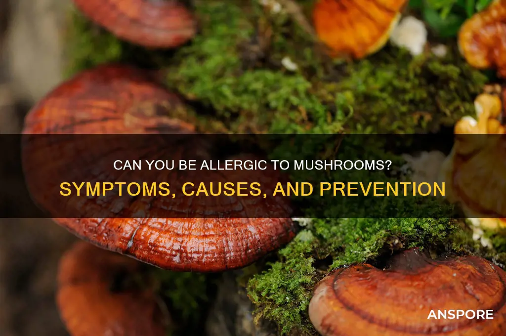 can you be allergic mushrooms