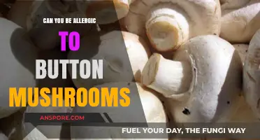 Button Mushroom Allergies: Uncommon but Possible - Are You Affected?