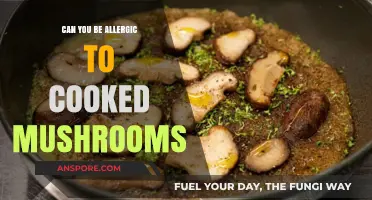 Cooked Mushrooms and Allergies: Understanding Risks and Reactions