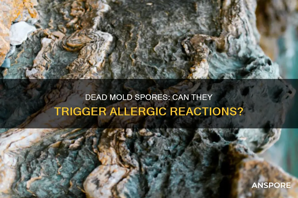 can you be allergic to dead mold spores