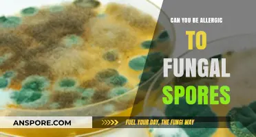 Understanding Fungal Allergies: Can You React to Fungal Spores?