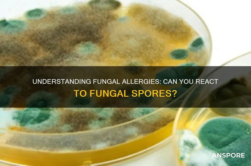 can you be allergic to fungal spores