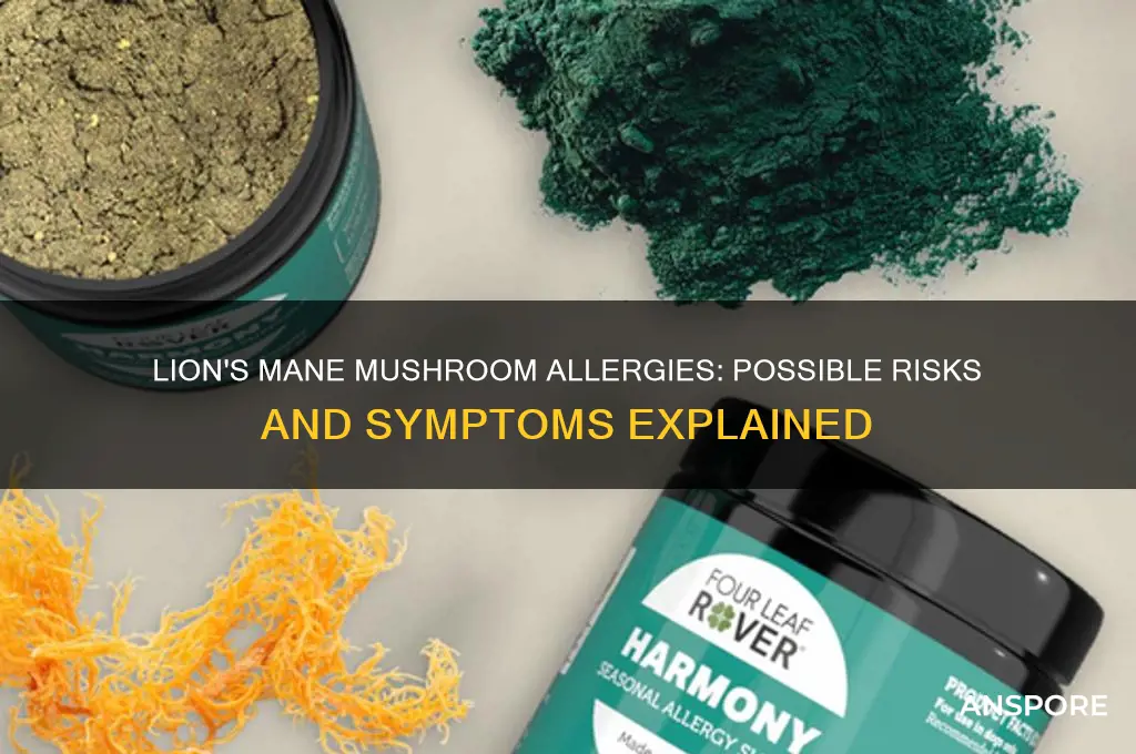 can you be allergic to lions mane mushrooms