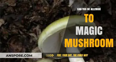 Magic Mushrooms and Allergies: Unveiling the Risks and Reactions