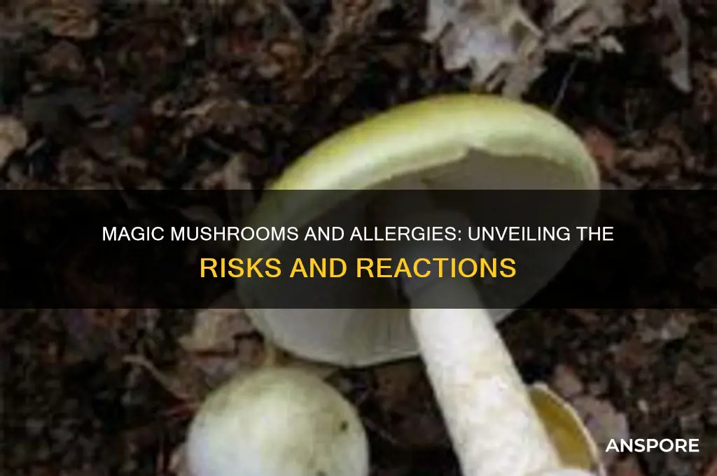 can you be allergic to magic mushrooms
