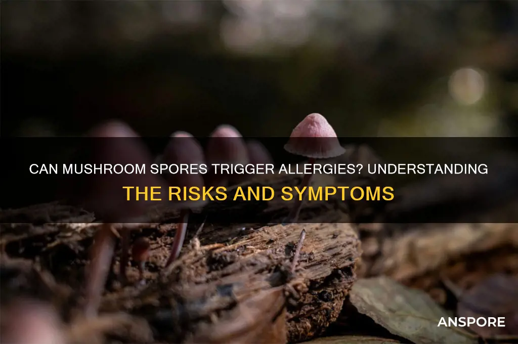 can you be allergic to mushroom spores