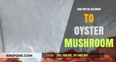 Oyster Mushroom Allergies: Symptoms, Risks, and Safe Consumption Tips