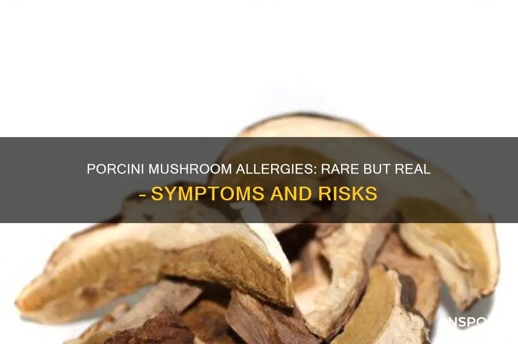 can you be allergic to porcini mushrooms