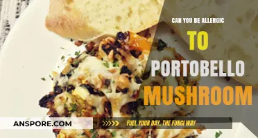 Portobello Mushroom Allergies: Symptoms, Causes, and Safe Consumption Tips