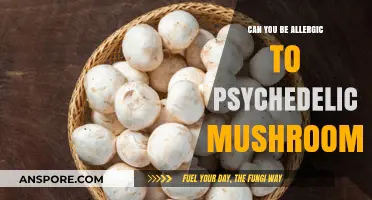 Psychedelic Mushroom Allergies: Unraveling the Risks and Realities
